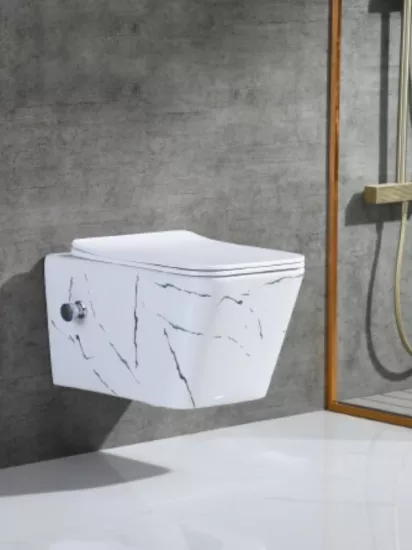 Asma Klozet Modelleri